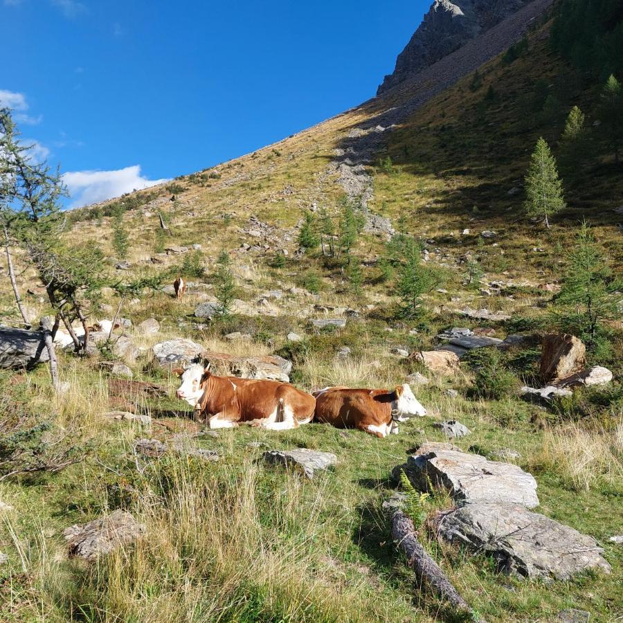 Ausserwalderhof Innervillgraten Eksteriør bilde